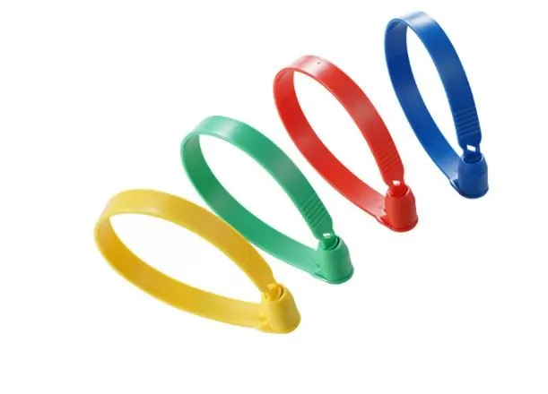 Non-adjustable Numbered Plastic Lock Seal